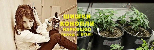 марихуана Володарск